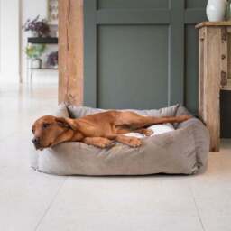 Lords and Labradors Velvet Box Dog Bed - thumbnail 3