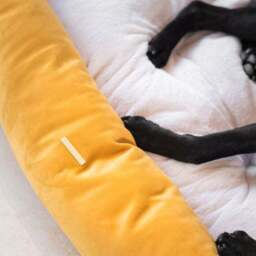 Lords and Labradors Velvet Box Dog Bed - thumbnail 3