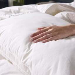 Snuggledown Retreat Indulgent Cotton Soft Pillow - thumbnail 3