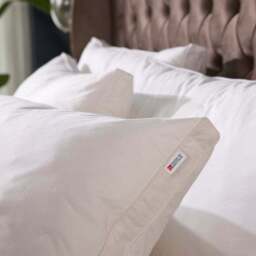 Snuggledown Retreat Indulgent Cotton Soft Pillow - thumbnail 5