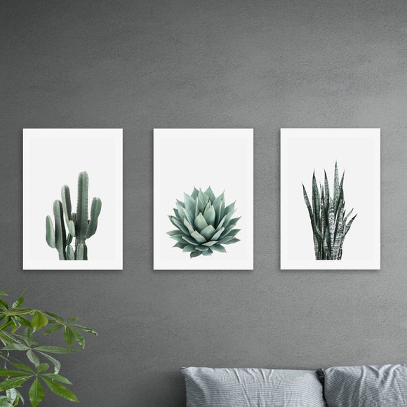 Set of 3 East End Prints Succulent Gallery Wall Prints - image 1