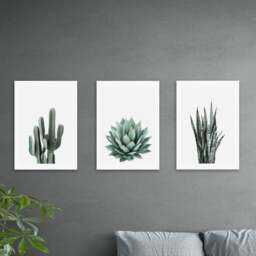 Set of 3 East End Prints Succulent Gallery Wall Prints - thumbnail 1