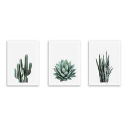Set of 3 East End Prints Succulent Gallery Wall Prints - thumbnail 2