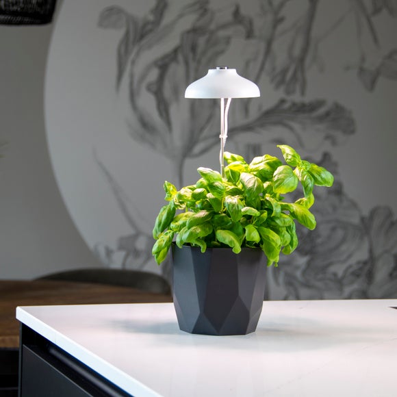 Fallen Fruits White Plant Grow Lamp - image 1