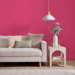 Dunelm Matt Emulsion Paint - thumbnail 1