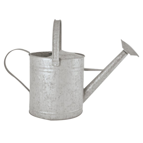 Fallen Fruits Old Zinc Watering Can - image 1