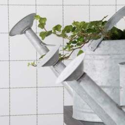 Fallen Fruits Old Zinc Watering Can - thumbnail 2
