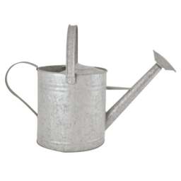 Fallen Fruits Old Zinc Watering Can - thumbnail 1