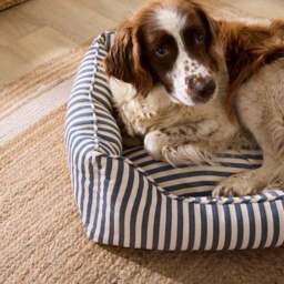 Linford Stripe Box Dog Bed - thumbnail 2