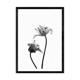 East End Prints Iris Print - thumbnail 2