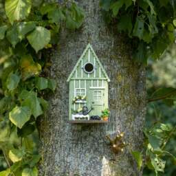 Fallen Fruits Garden Shed Bird House - thumbnail 1