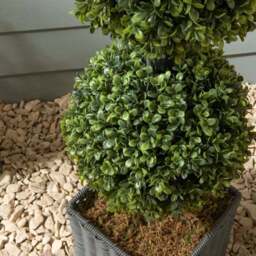 3 Artificial Boxwood Balls Tree 90cm - thumbnail 2