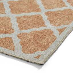 Coral H1063 Rug - thumbnail 6