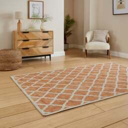 Coral H1063 Rug - thumbnail 1