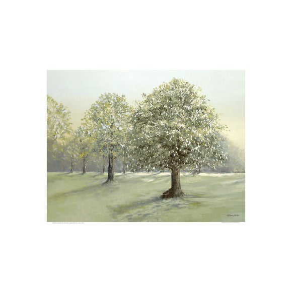 Stroll Between Trees by Anthony Waller Framed Print