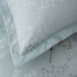 Dorma Gypsophilia 300 Thread Count 100% Cotton Standard Pillowcase Pair - thumbnail 6