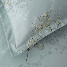Dorma Gypsophilia 300 Thread Count 100% Cotton Standard Pillowcase Pair - thumbnail 5