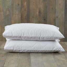 Fogarty Pack of 2 Forever Fresh Cotton Anti-Allergy Pillow Protectors - thumbnail 3