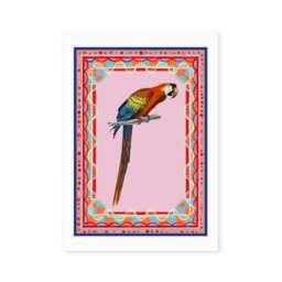 East End Prints Birdframe Macaw Print - thumbnail 2