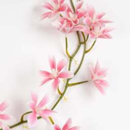 Set of 2 Artificial Magnolia Star Flower Garlands - thumbnail 2