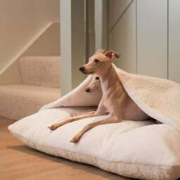 Lords and Labradors Boucle Sleepy Burrow Dog Bed - thumbnail 2
