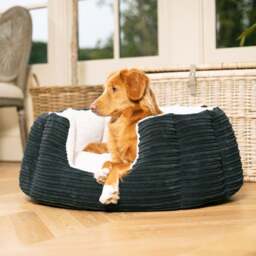 Lords and Labradors High Wall Dog Bed - thumbnail 1