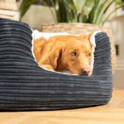 Lords and Labradors High Wall Dog Bed - thumbnail 2