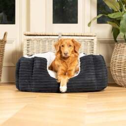 Lords and Labradors High Wall Dog Bed - thumbnail 3