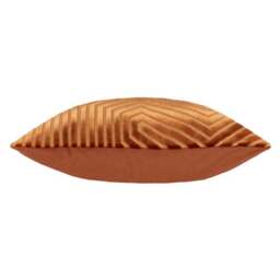 Evoke Velvet Cushion - thumbnail 3