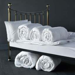 Fogarty Anti-Allergy White Goose Feather and Down 7.5 Tog Duvet - thumbnail 4