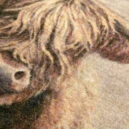 Marvel Highland Cow Printed Washable Doormat - thumbnail 5