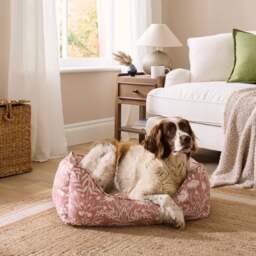 Freya Floral Box Dog Bed - thumbnail 1