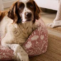 Freya Floral Box Dog Bed - thumbnail 2