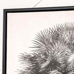 Set of 3 Monochrome Palm Print Framed Canvases - thumbnail 2