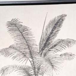 Set of 3 Monochrome Palm Print Framed Canvases - thumbnail 4