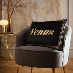 Laurence Llewelyn-Bowen Venus Signature Velvet Rectangle Cushion - thumbnail 1