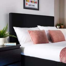 XR Living Ava TV Bed with LED Lights and TV Mount - thumbnail 4