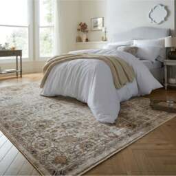 Mia Traditional Rug - thumbnail 1