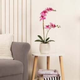 Artificial Pink Phalaenopsis Orchid in Textured Ceramic Plant Pot - thumbnail 1