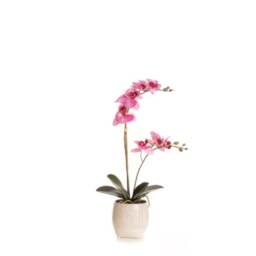Artificial Pink Phalaenopsis Orchid in Textured Ceramic Plant Pot - thumbnail 4
