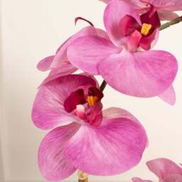 Artificial Pink Phalaenopsis Orchid in Textured Ceramic Plant Pot - thumbnail 2