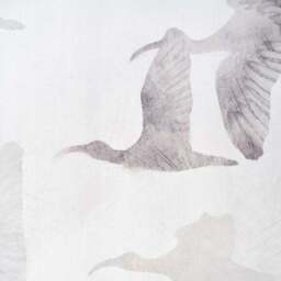 Set of 3 Birds Natural Framed Canvases - thumbnail 2