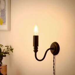 Pride and Joy Plug In Wall Light - thumbnail 2