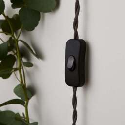 Pride and Joy Plug In Wall Light - thumbnail 4