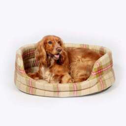 Danish Design Newton Moss Slumber Dog Bed - thumbnail 3