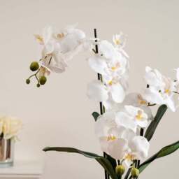 Artificial Real Touch White Orchid in Flat Silver Vase - thumbnail 2
