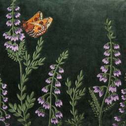 Emperor Moth Cushion - thumbnail 2