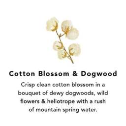 Northern Lights Set of 6 Cotton Blossom and Dogwood Votive Candles - thumbnail 2