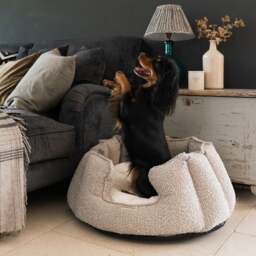 Lords and Labradors Boucle High Wall Dog Bed - thumbnail 1