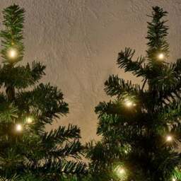 Set of 4 Tree Path Lights - thumbnail 2